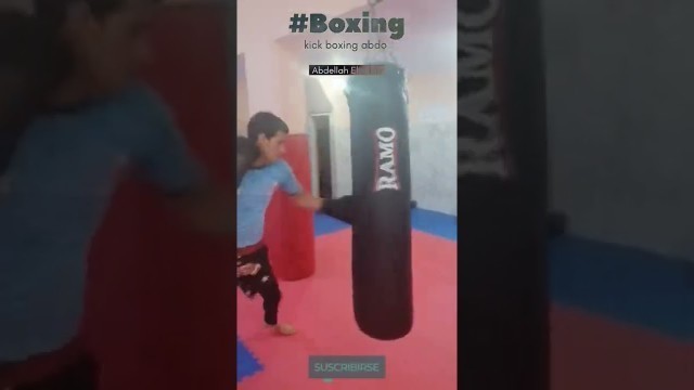 'Boxing training Bag 