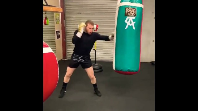 'canelo alvarez perfects his jab on theheavy bag // #boxing #fight #fitness #shorts'