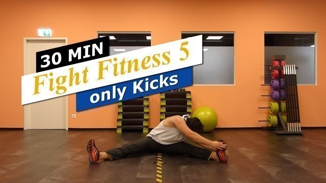 '30 MIN FIGHT FITNESS #5 only Kicks mit Sebastian | Home Workout | Kickboxing  | Karate |'