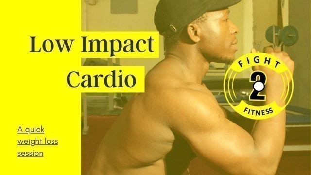 'Low Impact Cardio Home Workout for all fitness levels - no equipment. Fight To Fitness!'