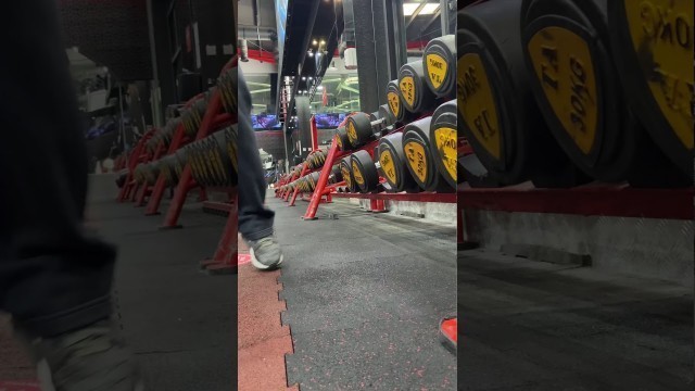 'Back workout In Binous Gym Dubai , House of Champions'