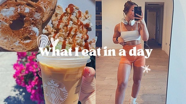 'Full Day of Eating // Calories // Macro breakdown // My Fitness Pal // Tracking macros // Easy meals'