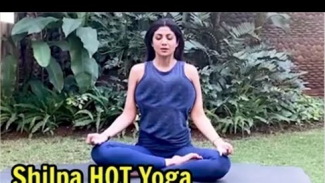 'Shilpa Shetty Yoga Video Will Blow Your Mind'