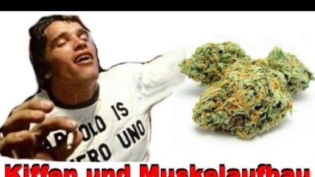 'Kiffen und Muskelaufbau - Einfluss von THC im Cannabis auf die Muskeln'