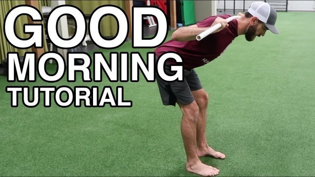 'GOOD MORNING exercise tutorial | bodyweight hamstring activation for injury prevention | Human 2.0'