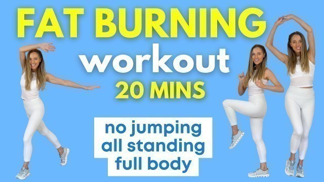 '20  Minute Full Body Workout - No Jumping with Weight Loss Exercise'