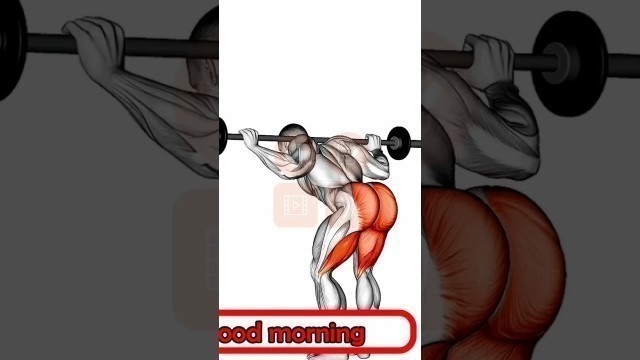 '1 EXERCISE =  MULTIPLE MUSCLE GROUPS! Barbell Good Morning Workout'