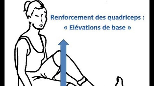 'Renforcement musculaire des quadriceps : les élévations de base'