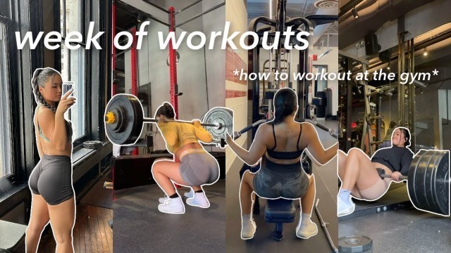 'WEEK OF WORKOUTS: how to workout at the gym, tips to be consistent and motivated, & workout w/me!'