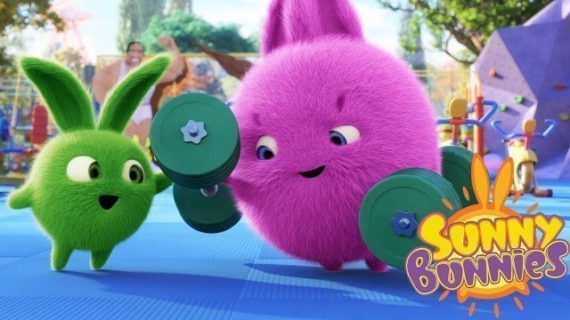 'Videos For Kids | SUNNY BUNNIES - GYM BUDDY | Funny Videos For Kids'