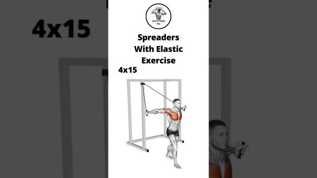 'How to do a Spreaders With Elastic Exercise | Health Fitness Tips'