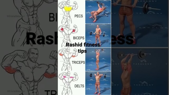 '#shorts #viral #fitness #Gym !! Rashid fitness tips'