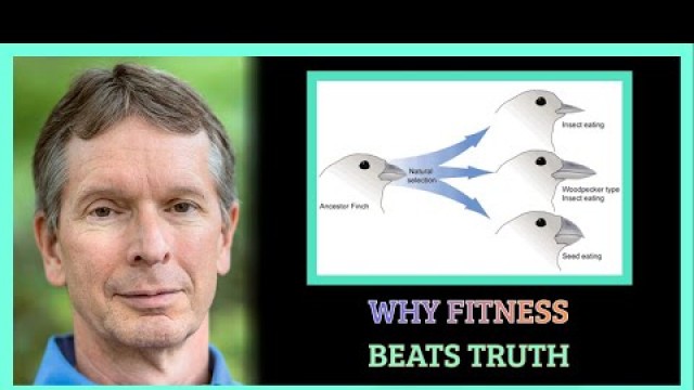 'Why Fitness Beats Truth | Dr. Donald Hoffman'