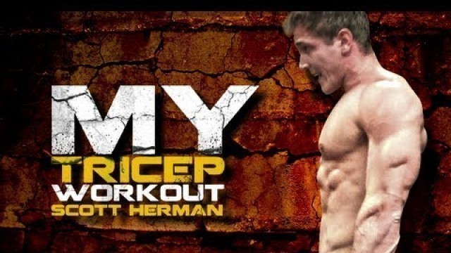 'My Tricep Workout- Scott Herman'