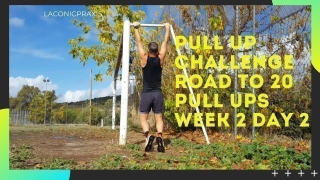 'Pull Up Challenge Road To 20 Pull Ups | Routine From FitnessFAQs | Day 2 Week 2'