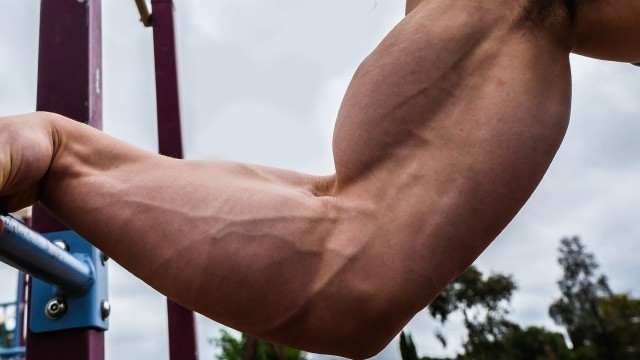 'Hanging Grip And Forearm Workout'