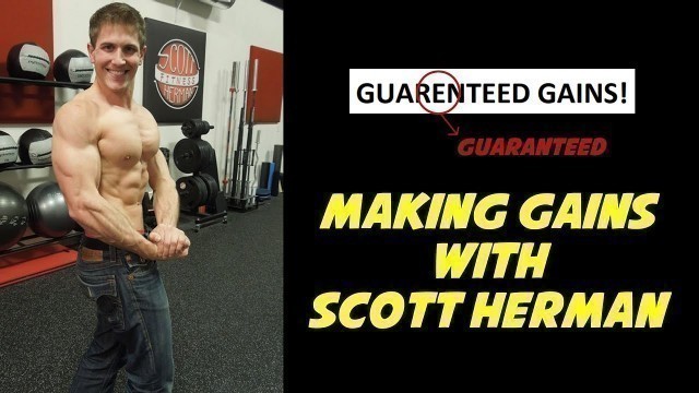 'Scott Herman \"Guarentees\" Muscle Growth (Program Critique)'