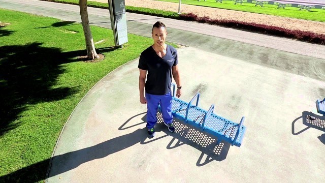 'Aspire Outdoor Gym Training Series - Bench Dip Station'