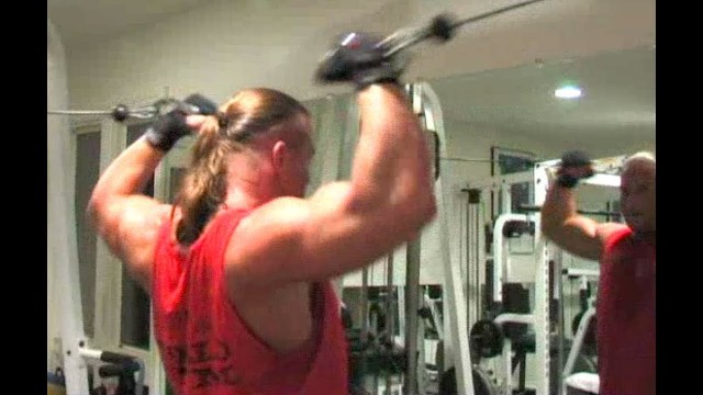 'WWE\'S ROB VAN DAM & THE 5-STAR WORKOUT: RVD BLISTERING BACK & BICEPS'