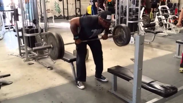 'SURVIVAL OF THE STRONG | ROB DID IT (BACK WORKOUT)'