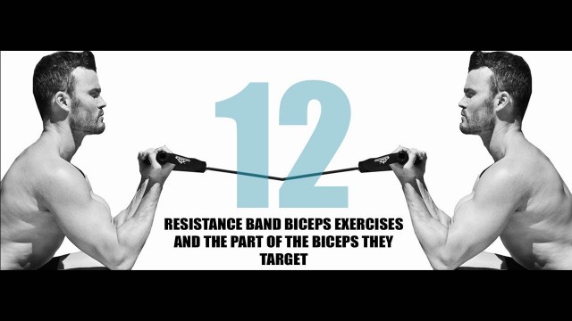 '12 Resistance Band Biceps Exercises and What Part of the Biceps They Target'