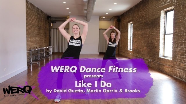 'WERQ Dance Fitness // Like I Do by  David Guetta, Martin Garrix & Brooks'