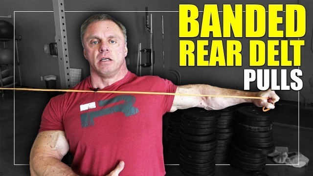 'Exercise Index - Rear Delt Band Pulls'