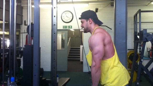 'LexFitness: Tricep Muscle Training, Aesthetics Gaining, Sexy Beards of Glory Takeover! | Lex Fitness'