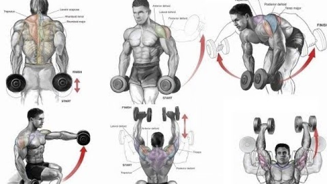 '15 TOP SHOULDERS EXERCICES / meilleurs exercices épaules'