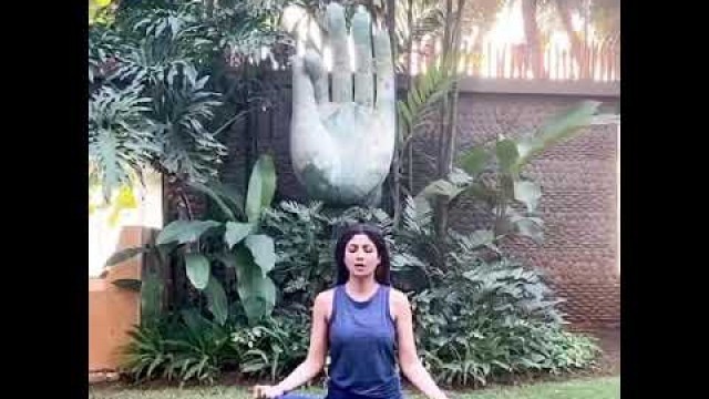 'Shilpa Shetty yoga in home'