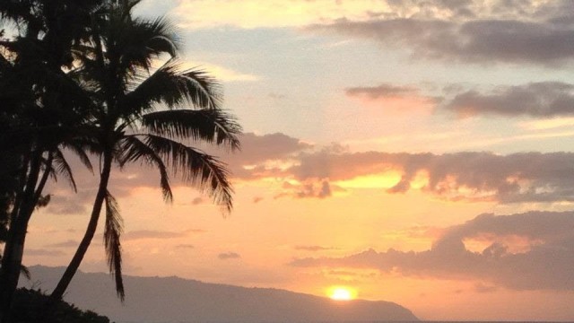 'wilk fitness vacations adventures'
