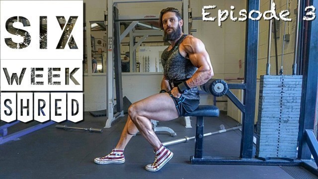 '6 WEEK SHRED Ep.3 | Progression | SQUATS | Improve Your Workout | Lex Fitness'