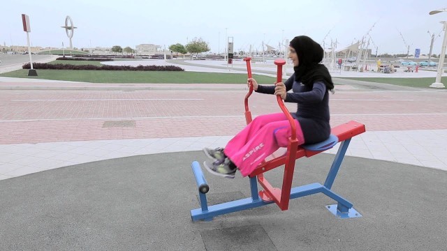 'Aspire Outdoor Gym Training - Back Pull / Leg Press Machine'