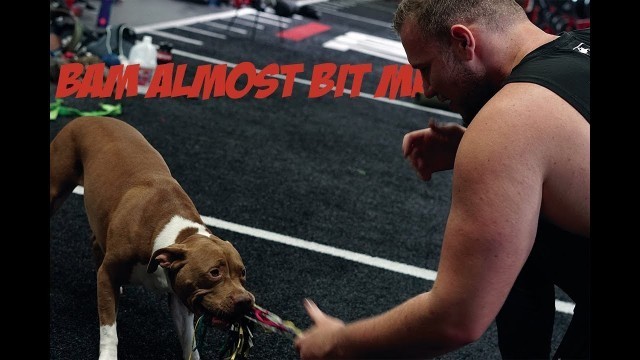 'Bradley Martyn\'s Dog Almost Attacked Me At Zoo Culture!'