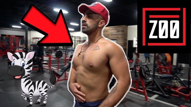 'WORKING OUT AT BRADLEY MARTYN\'S ZOO CULTURE GYM | Lord Div'