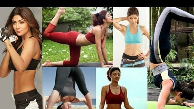 'Shilpa Shetty hot workout || Shilpa Shetty sexy yoga||Bollywood Fun TV'