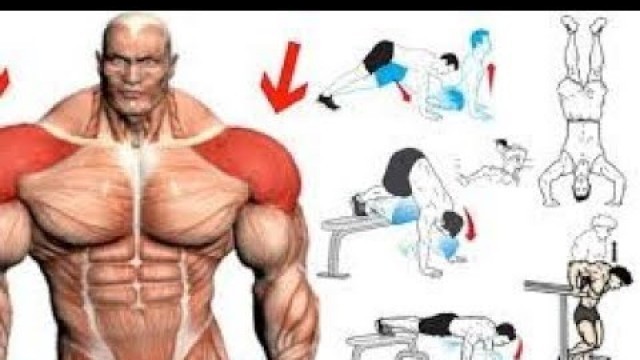 'SHOULDERS HOME WORKOUT :/ 4 Meilleurs exercices musculation épaules sans matériel'