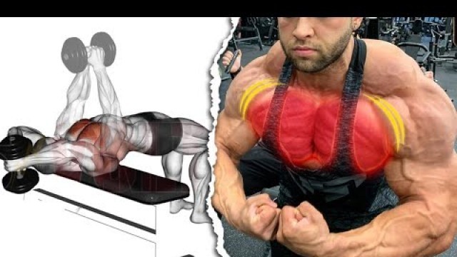 'تمارين تفجير الصدر كامل فقط بالدمبل -  Dumbbell Chest Exercices Workout'