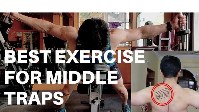 'Best Exercise for Middle Traps | DP Fitness'