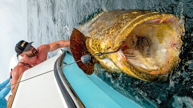 'Nelk Boys & Bradley Martyn Catch Monster Groupers and Sharks'