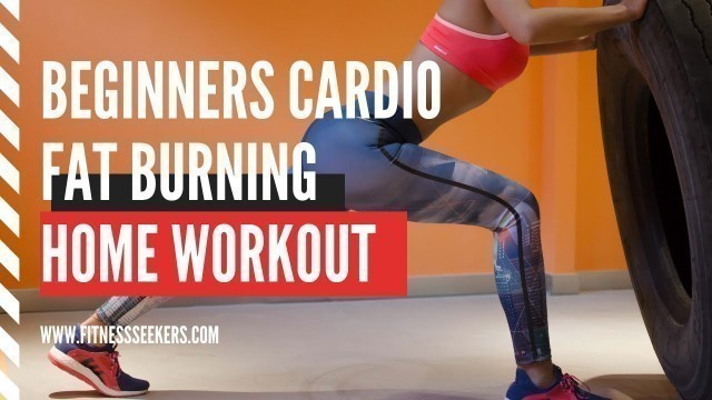 'Cardio Daily Beginner Fat Burner Workout | Fitness Seekers Beginner Workout Plan'