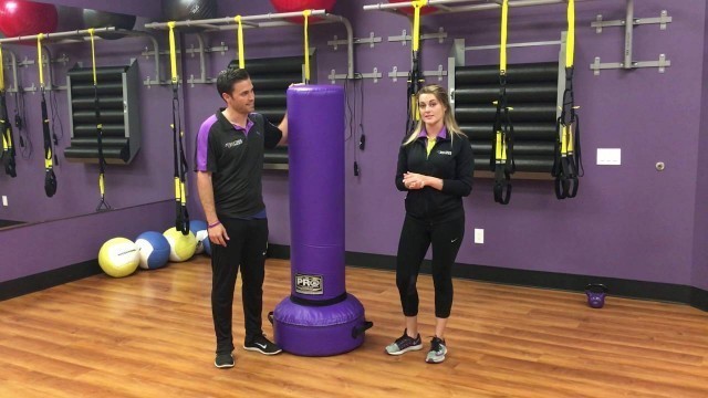 'Anytime Fitness Update - MYZONE & MEP\'s'