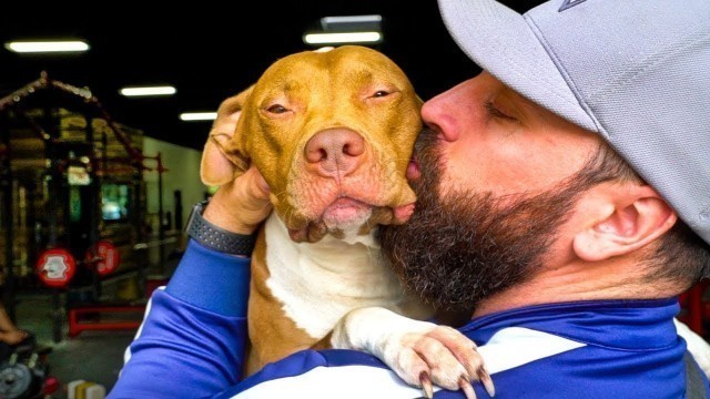 'A DAY IN THE LIFE WITH BRADLEY MARTYN'