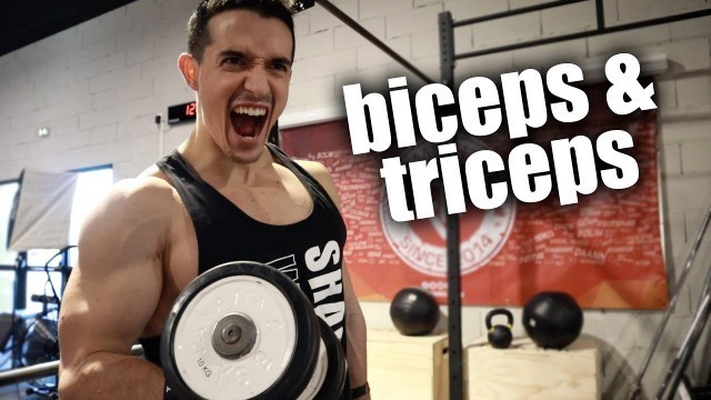 'AVOIR DES GROS BRAS RAPIDEMENT ! (biceps & triceps exercices)'