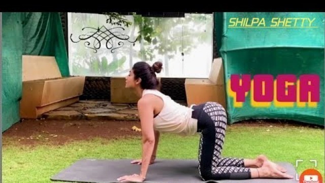 'The shilpa shetty Yoga Hot workout bollywood'