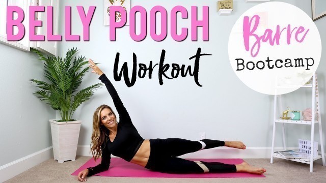 'How to Lose BELLY POOCH | Lower Abs Barre Bootcamp'