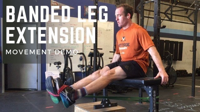 'Resistance Band Leg Extensions and Leg Curls | Banded Leg Extensions and Leg Curls'