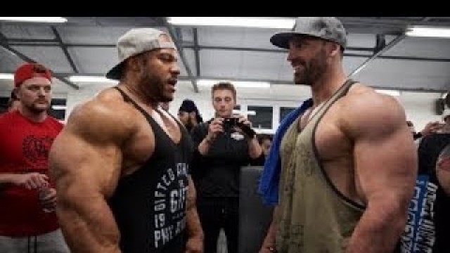 'PHIL HEATH vs BRADLEY MARTYN | ARMS WORKOUT | D.R.D MOTIVATION'