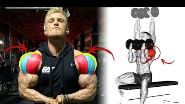 'أقوى 8 تمارين لتكوير و تضخيم الكتف (جدول تدريبي) Shoulder exercices  (أكتاف 3D)'