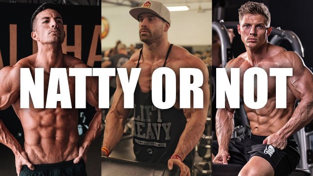 'NATTY OR NOT | Christian Guzman, Bradley Martyn, Steve Cook, and More!'